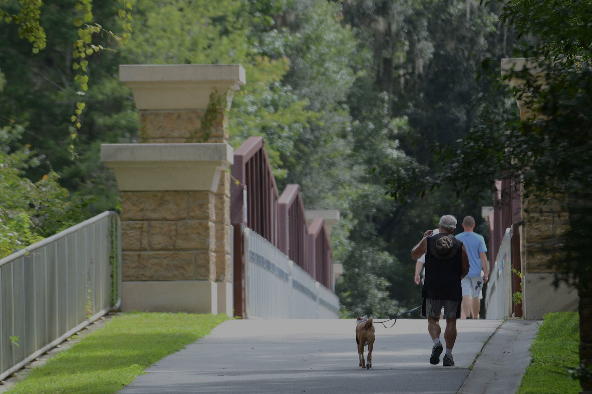 Trails-in-Dunnellon-op35.jpg