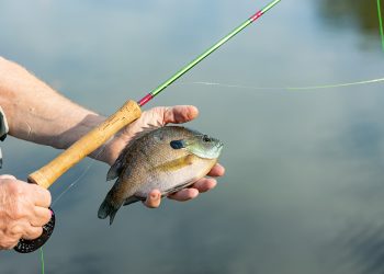 Fishing in Dunnellon